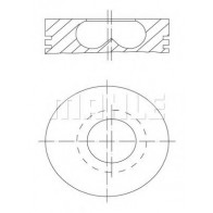 Piston