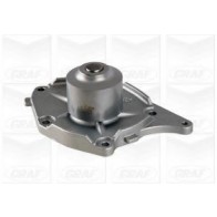 WATER PUMP RENAULT KANGOO 98> 1.5 dCi
