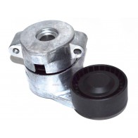 MICRO BELT TENSIONER FIAT DUCATO 06> SET 2.2JTD