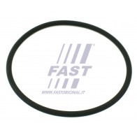 SEAL FIAT DUCATO 06>/ 14>