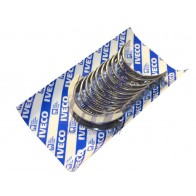 BIG END BEARING - FIAT 3.0