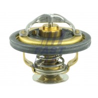 THERMOSTAT FIAT DUCATO 94> CARTRIDGE 2.5 D/TD DUCATO >94>