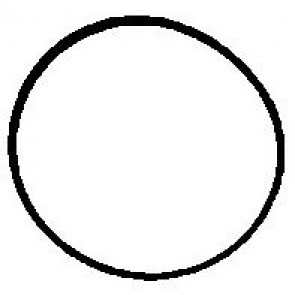 Seal, EGR valve