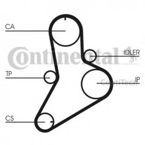 Timing Belt