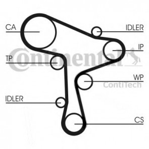 Timing Belt