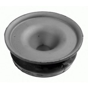 Top Strut Mounting