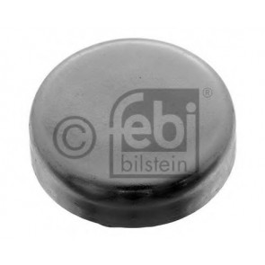 Frost Plug