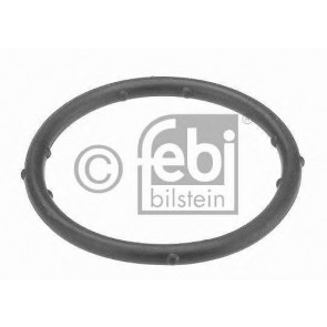 Gasket, coolant flange