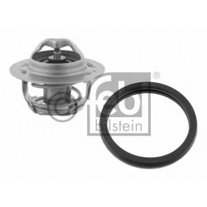 Thermostat, coolant