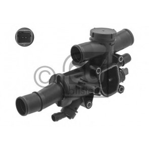 Thermostat, coolant