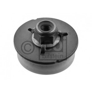 Top Strut Mounting