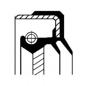 Shaft Seal, differential