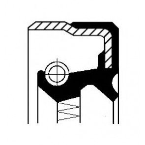 Shaft Seal, differential