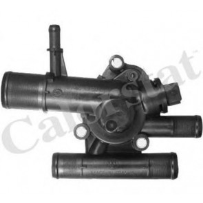 Thermostat, coolant