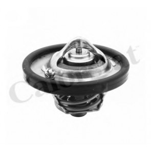 Thermostat, coolant
