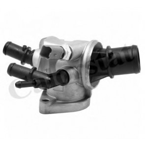 Thermostat, coolant