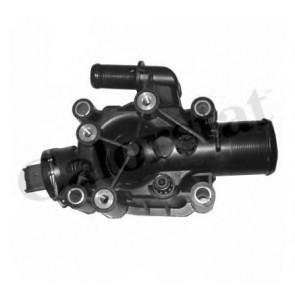 Thermostat, coolant
