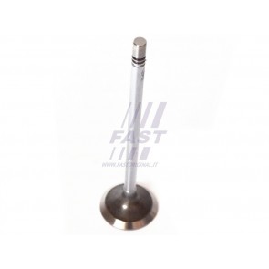 Inlet Valve
